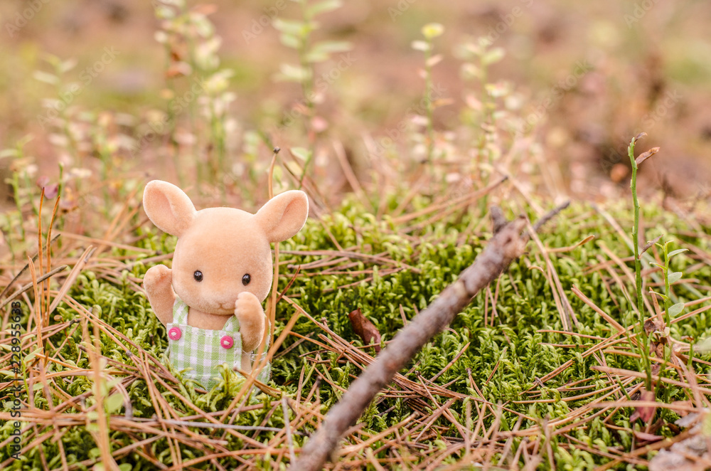 Cute toy bunny in the grass in the woods. Cute toy bunny in the grass in the woods.