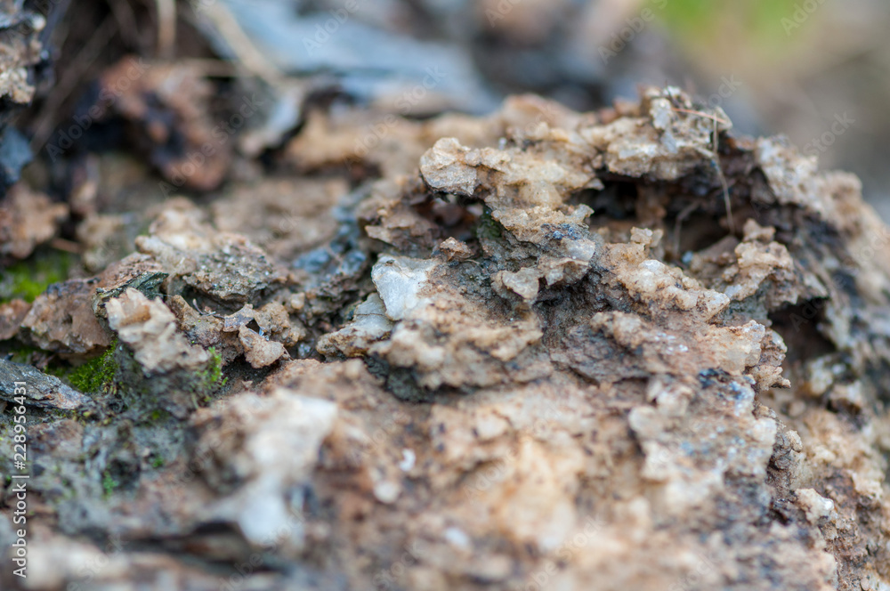 Close-up of rocks, salt and minerals. Shallow depth of field.