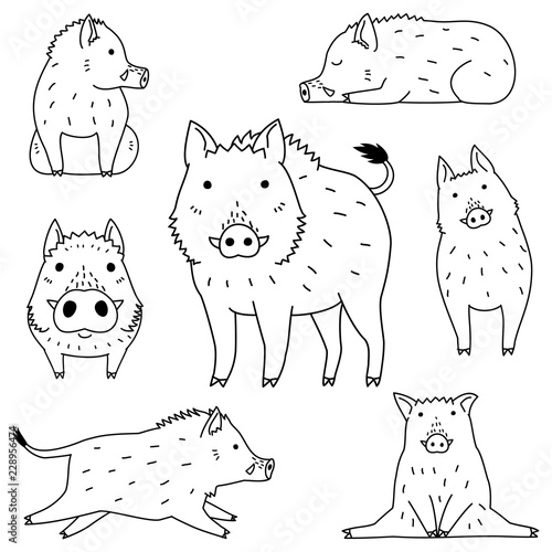 cute wild boar doodle drawing set