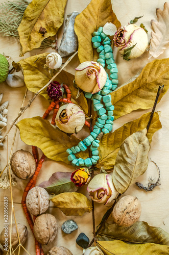 Autumn background with coral and turquoise beads, lying near the dry buds of roses, yellowed leaves, nuts, stones, lined on light plywood