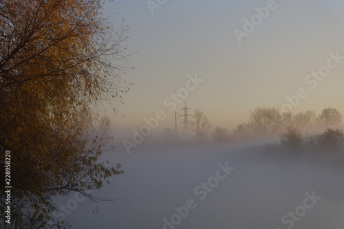 fog in the forest © Vasily