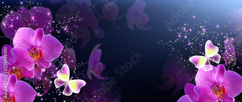 Butterflies with orchids and glowing stars