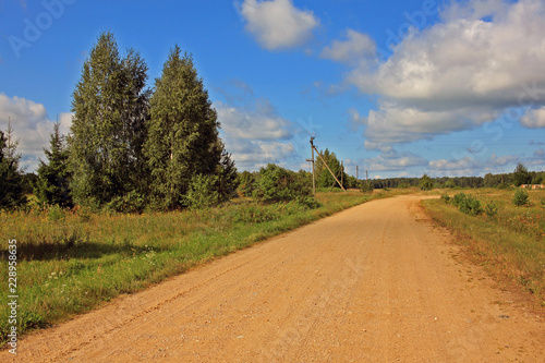 Summer landscape