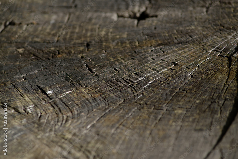 Old Tree Saw Background Old Tree Saw Background
