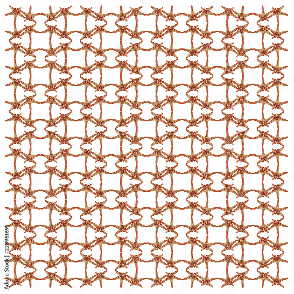 Fototapeta premium Red-knobbed starfish, Protoreaster linckii, in repeated pattern, in front of white background