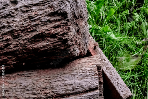 Obraz na płótnie Close up of aged firewood. w salonie