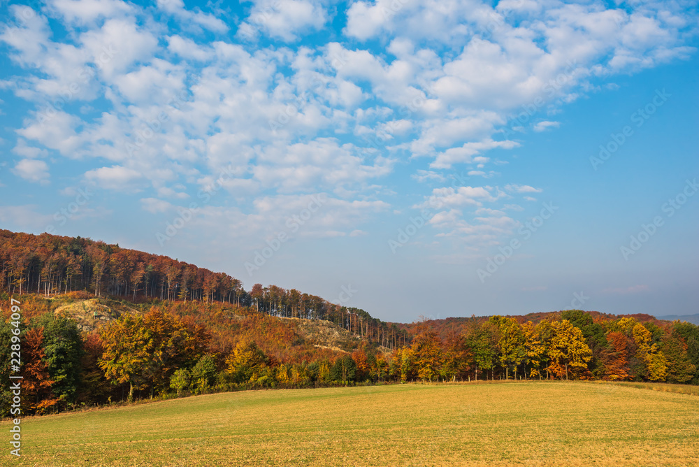 Fototapeta premium Herbstlandschaft mit Wolken im Burgenland (A)