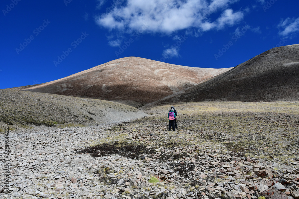 Summer landscape at an altitude of more than 5000 meters. On the way to the source of Ind river in Tibet