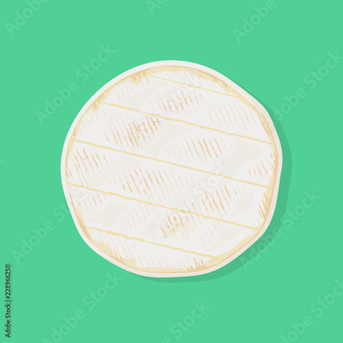 Whole cylinder of fresh camembert de Normandie cheese, top view. Traditional french dairy product. Vector hand drawn illustration.  photo