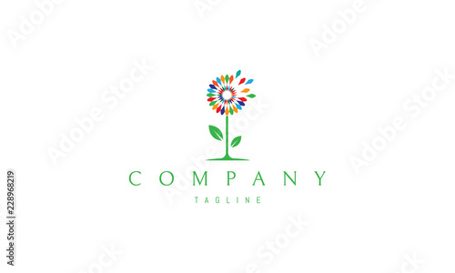 Dandelion Color vector logo
