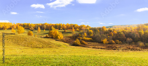 Panorama of autumn yellow forest on hills. Beautiful bright landscape of yellow park. Orange trees