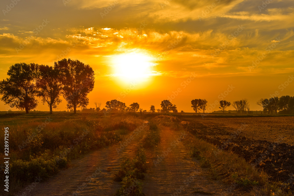 Fototapeta premium sunset in countryside
