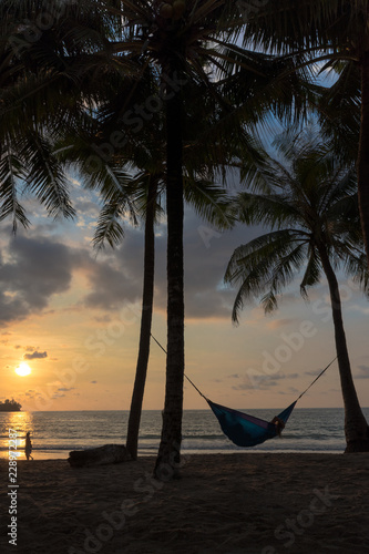 Tropical Hammock in Paradise at Sunset