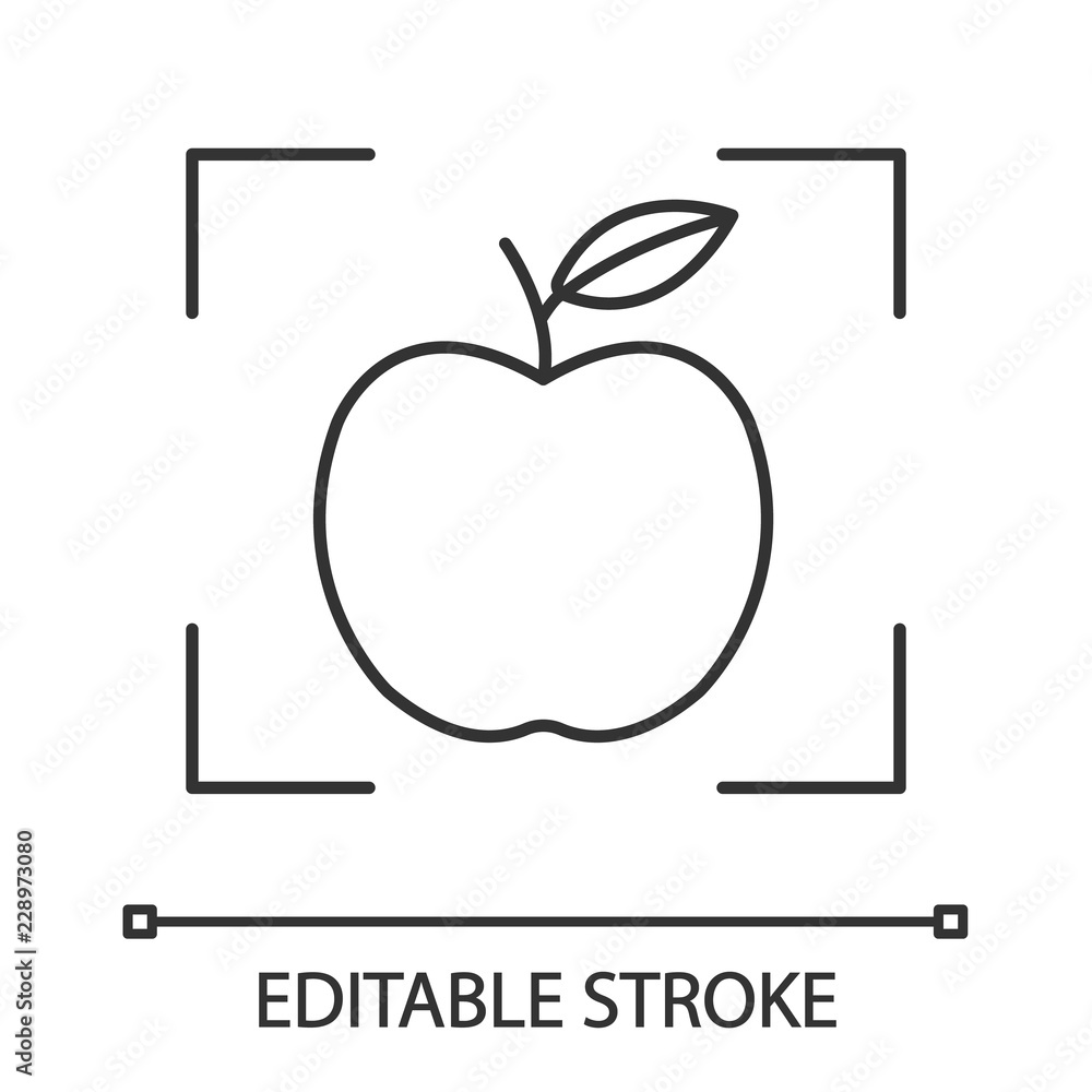 Object detection app linear icon Stock Vector | Adobe Stock