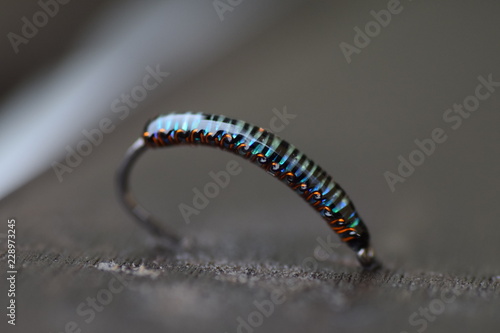 fiskeimarka, flytying, fytyer photo