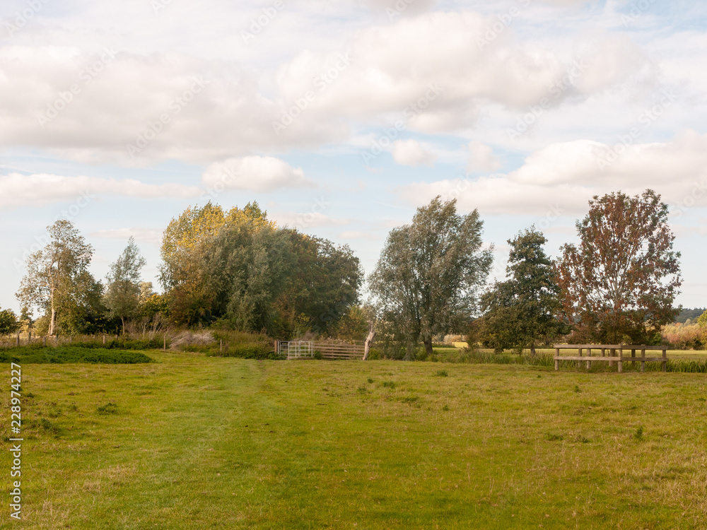 Dedham summer day special grassland greenery scene landscape nature natural Dedham summer day special grassland greenery scene landscape nature natural
