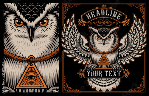 Vector illustration of Owl on the dark background.