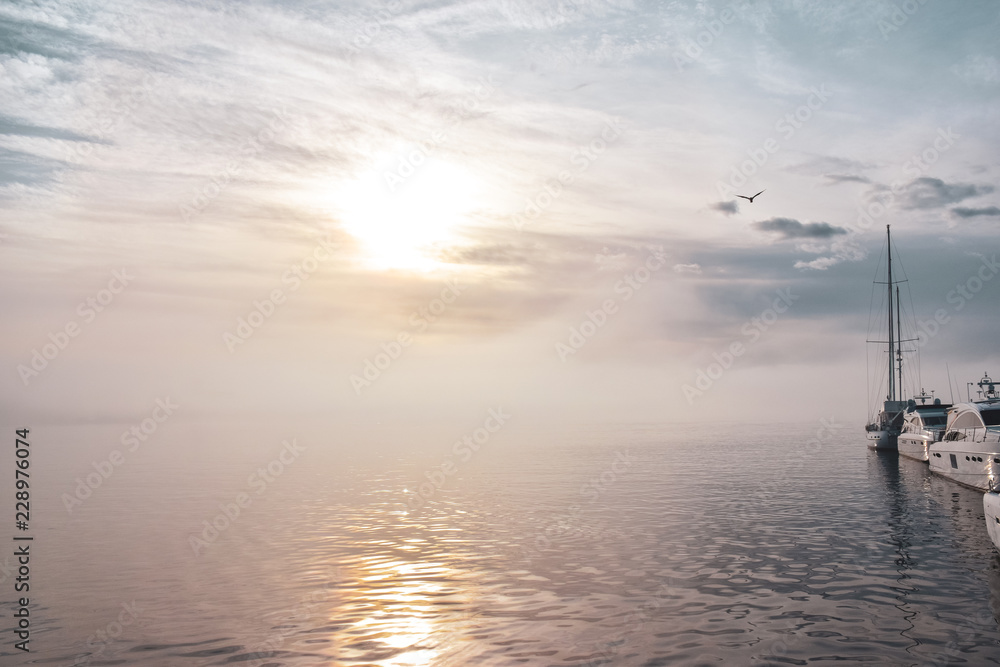 Morning fog, pier with yachts. The bird flies in the sky. Oslo, Norway Morning fog, pier with yachts. The bird flies in the sky. Oslo, Norway