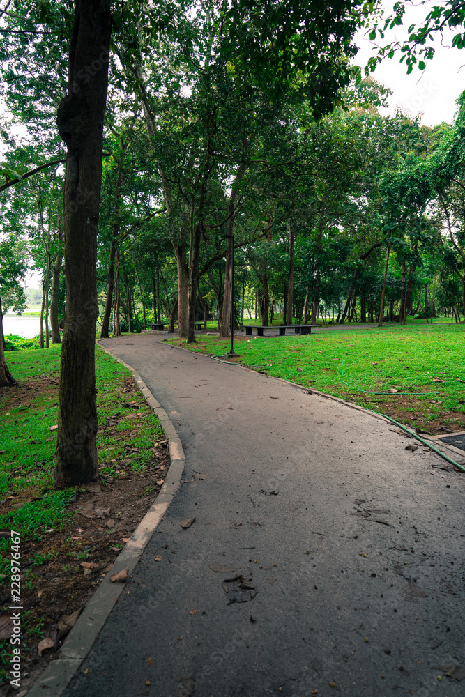 Forest road landscape. Deep forest road view. Forest road in autumn. Autumn forest road scene Forest road landscape. Deep forest road view. Forest road in autumn. Autumn forest road scene