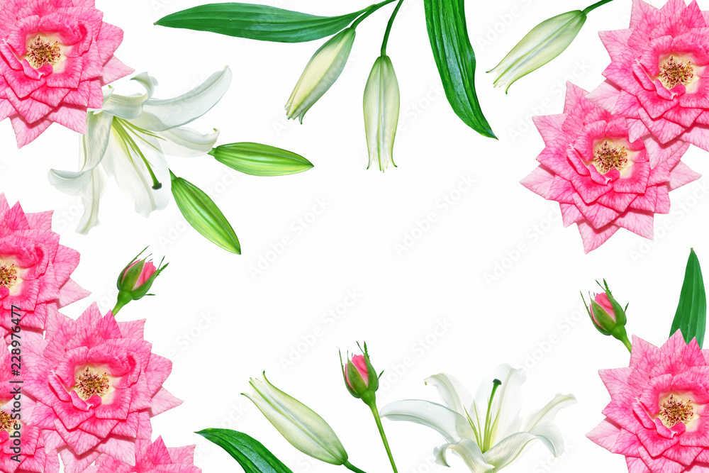 Flower lily isolated on white background. rose Flower lily isolated on white background. rose