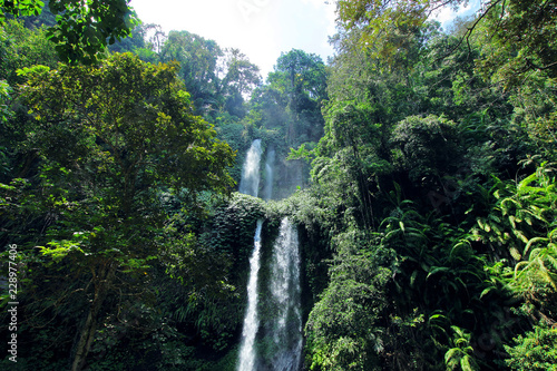  waterfall in lush rainforest 