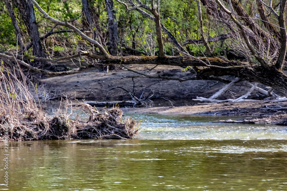 Marshy Shores of the Grand River in Caledonia Ontario, Canada