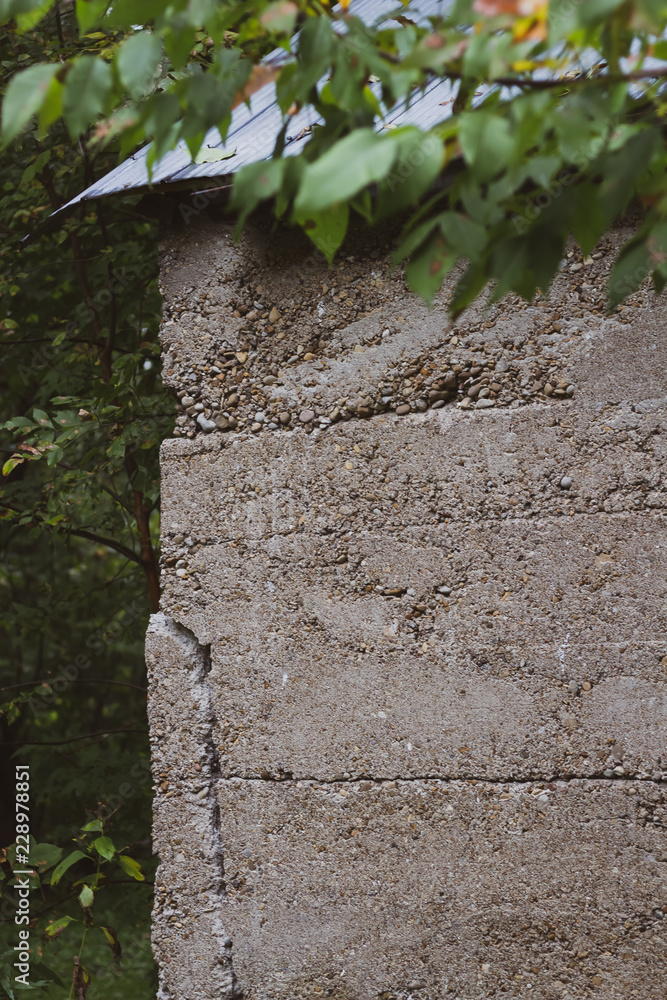 Close up of a cement wall of an old building in a forest.
