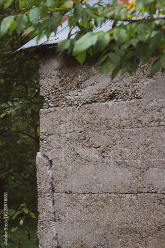 Close up of a cement wall of an old building in a forest.
