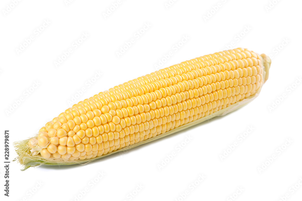 Fresh corn on cobs isolated on white Fresh corn on cobs isolated on white