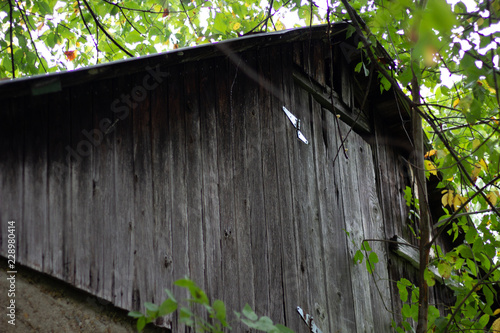 Close up of the top portion of an old wooden shacks roof peak surrounded by green leaves growing on trees