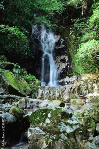 日本の滝