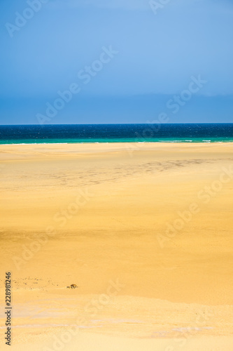 Natural beach on Fuerteventura island, Canary