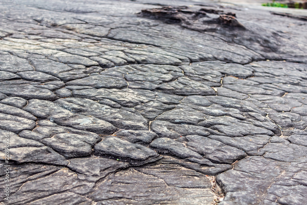 The mountain top texture at Phu Foi Lom, Udon Thani Provice, Thailand resembling elephant skin.