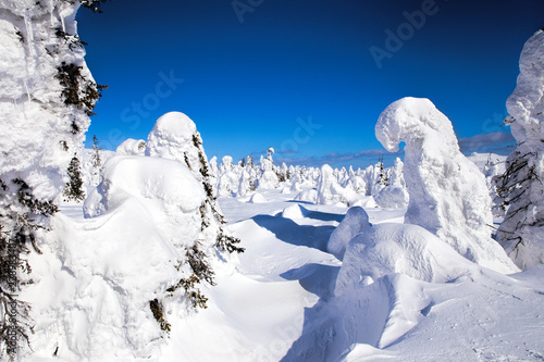 Beautiful winter wonderland during the sunny day. Winter landscape