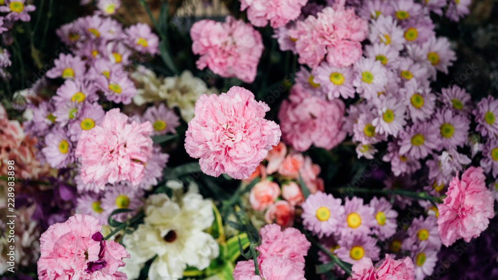 pink carnation arrangement pink carnation arrangement