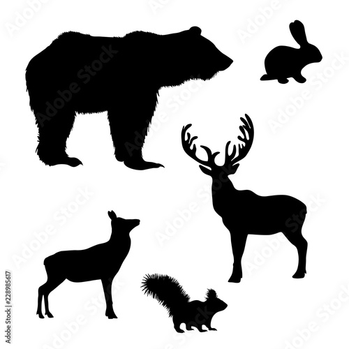 Vector silhouette of wild animal on white background.