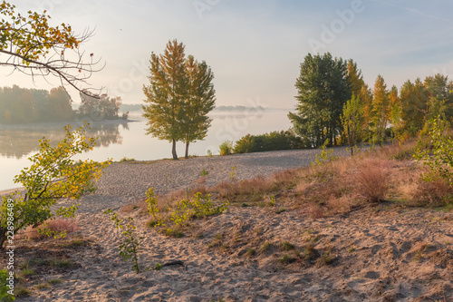 Sandy river bank with trees autumn at sunrise