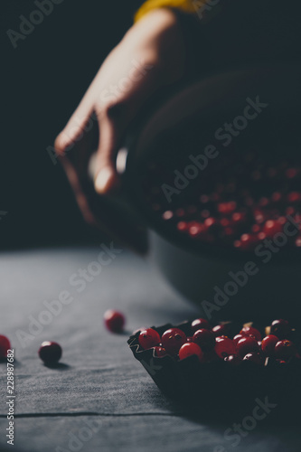 Female hands holding white pot full of ripe cranberries