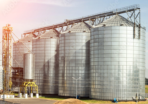 Complex for storage of oilseed rape and other grains, agribusiness, farming photo