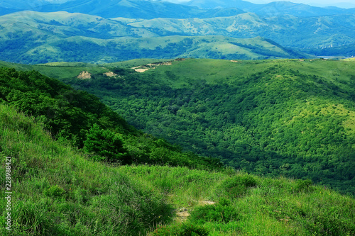 landscape hills with forest