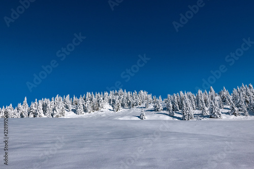 Winter in Südtirol