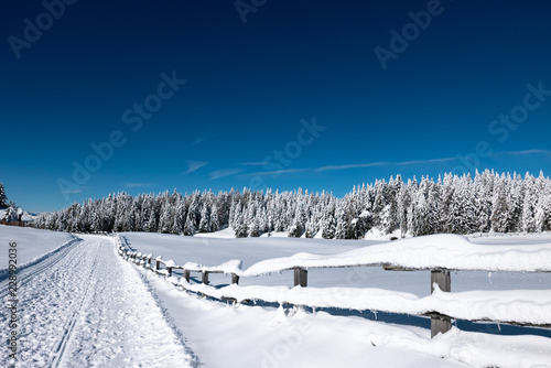 Winter in Südtirol