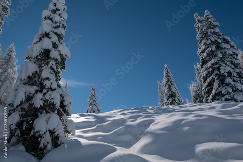Winter in Südtirol