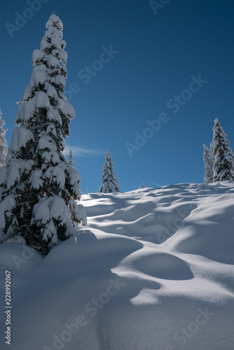 Winter in Südtirol