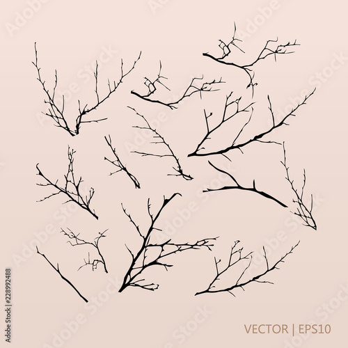 Tree branches. Vector illustration. Tree set