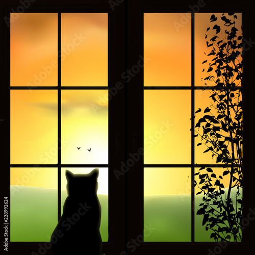 A cat looking out a window. Green field, sunset, sunrise, tree, birds. Orange sky, silhouettes. Vector illustration.