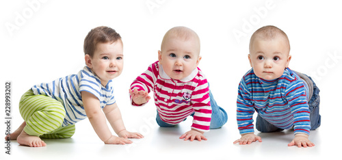 Group of little babies craw...