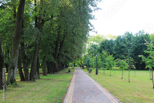 autumn. fun colors of autumn. path leading to the autumn kingdom.