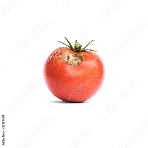 Tomato vegetable with a disease