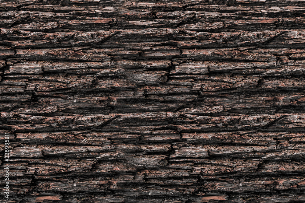 texture bark tree horizontal pattern dark brown background weathered natural rustic base texture bark tree horizontal pattern dark brown background weathered natural rustic base